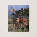Recherche de girafffes puzzles Nature