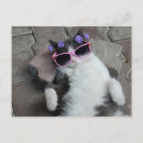 Recherche de diva cartes postales Humour