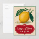 Recherche de fruit vintage cartes postales Citron