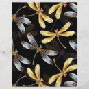 Recherche de insectes 22x28 prospectus Libellule