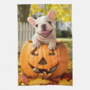 Recherche de humour animal cuisine linges Animaux