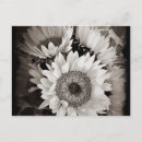 Recherche de bouquet de tournesol cartes postales Tournesols