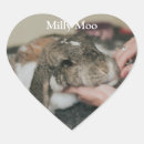 Recherche de hommage autocollants Mémorial