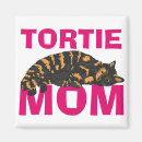 Recherche de torsion magnets Chat