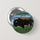 Recherche de bison badges Américain