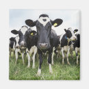 Recherche de rural magnets Horizontal