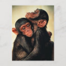 Recherche de chimpanzee cartes postales Jungle