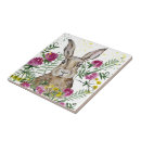 Recherche de lapins carreaux Aquarelle