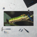 Recherche de papillon bleu tapis souris Faune
