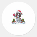 Recherche de springer anglais autocollants Animal