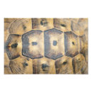Recherche de motif camouflage posters Abstrait