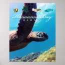 Recherche de tortue art Hawaïen