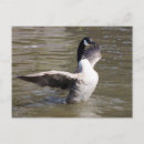 Recherche de clapet cartes postales Pour tous