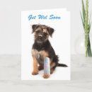 Recherche de de chi de chi vœux cartes Chien