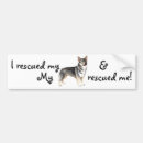Recherche de suédois voiture autocollants Vallhund
