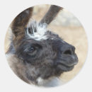 Recherche de fainéant autocollants Mignon