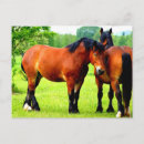 Recherche de cheval de baie cartes postales Chevaux