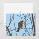 Recherche de nue cartes postales Oiseau