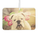 Recherche de animal familier voiture accessoires Chiot