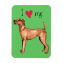 Recherche de irish magnets Coeur