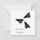 Recherche de insecte correspondances cartes Jardin