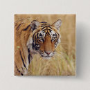 Recherche de tigre de bengale badges Parc national