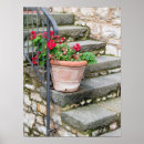 Recherche de plante posters Europe