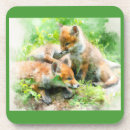 Recherche de petit renard dessous de verres Nature