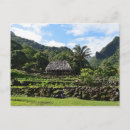 Recherche de taro cartes postales Kauai