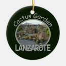 Recherche de cactus ornements Jardin