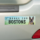 Recherche de boston voiture autocollants Chien