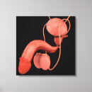 Recherche de organes humains posters Complexe