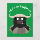 Recherche de buffle africain cartes postales Afrique