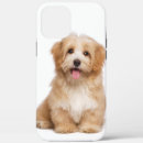 Recherche de pet iphone coques Photo de chien