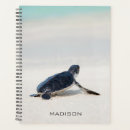 Recherche de tortue bureau fournitures Tortue de mer