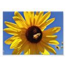 Recherche de pollinisation posters Jaune
