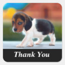 Recherche de chiot mignon de beagle autocollants Chiots