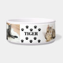 Recherche de collection animaux articles Collage