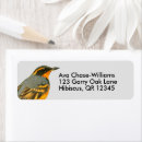 Recherche de chant de noël photographie Oiseau