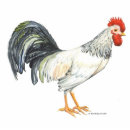 Recherche de poulets photo sculptures Volaille