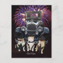Recherche de hilare posters Minou