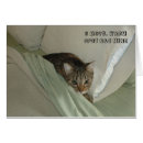 Recherche de chats de lol Lolcat
