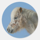 Recherche de cheval miniature autocollants Plomb langrish