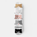 Recherche de chaton skateboards Mignon