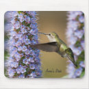 Recherche de colibri tapis souris Faune