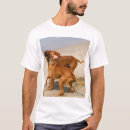 Recherche de yak tshirts Nature