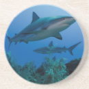 Recherche de shark dessous de verres Océan