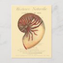 Recherche de conique cartes postales Côtier