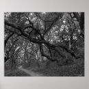 Recherche de piétons posters Photographie