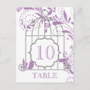 Recherche de violettes africaines cartes postales Rose